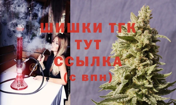 СК Арсеньев