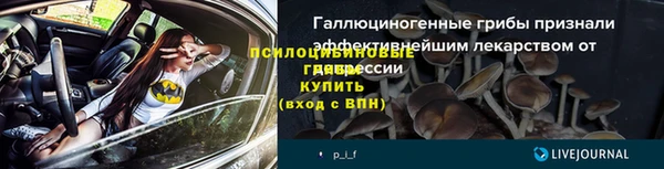 apvp Армянск