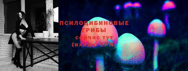 СК Арсеньев