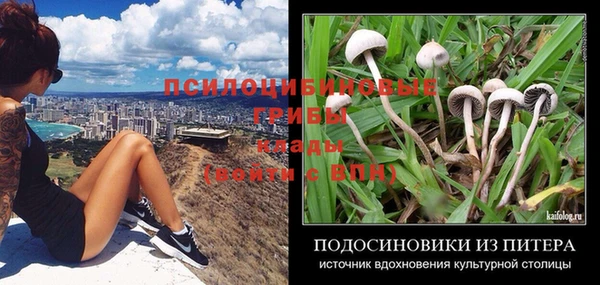 apvp Армянск