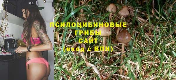 прущие грибы Семилуки
