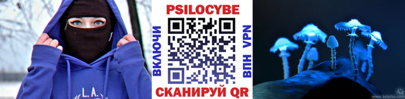 как найти наркотики  Арск  Псилоцибиновые грибы Psilocybine cubensis 